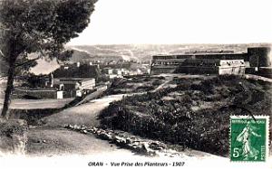 Oran - Vue des Planteurs